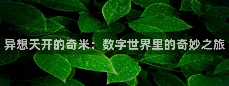 老光棍影院111