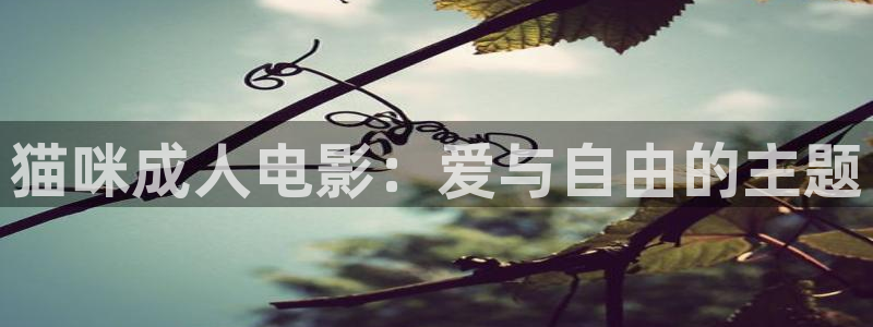 光棍影院vip电影有哪些