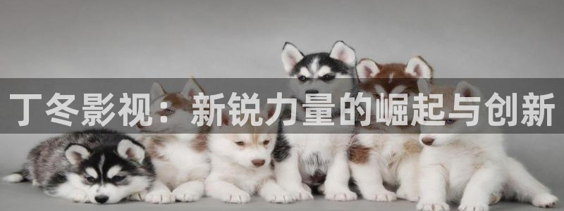 亚洲光棍影院