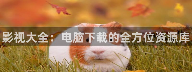光棍影院手机电影在线